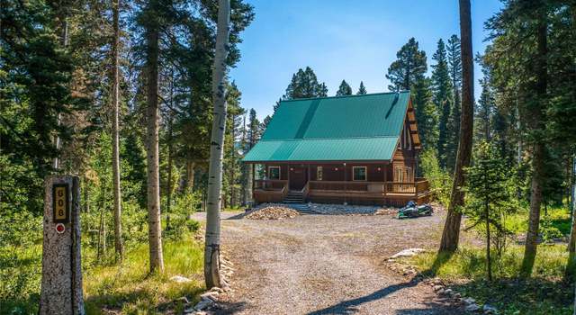 Photo of 608 Snowshoe Ln, Cimarron, CO 81220