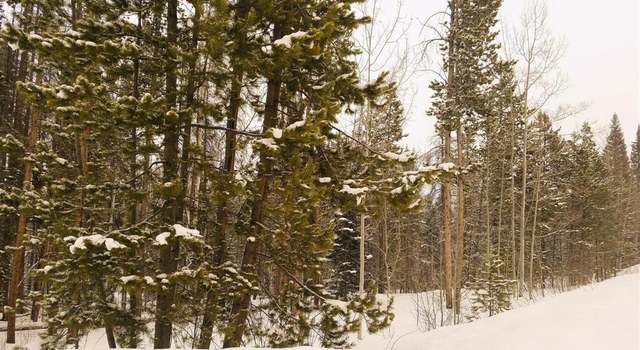 Photo of Lot 51 Black Horse II at Stagecoach, Oak Creek, CO 80467