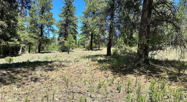 Photo of 545 Church Creek Dr, South Fork, CO 81154