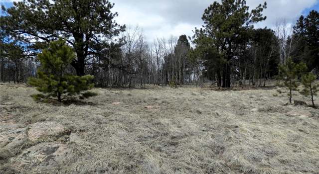 Photo of 47 Hidden Valley Dr, Florissant, CO 80816