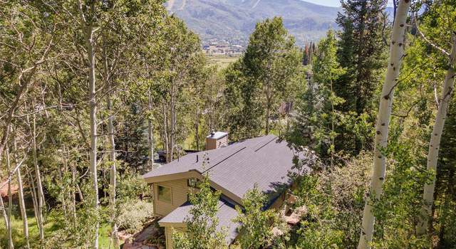 Photo of 36869 Tree Haus Dr, Steamboat Springs, CO 80487