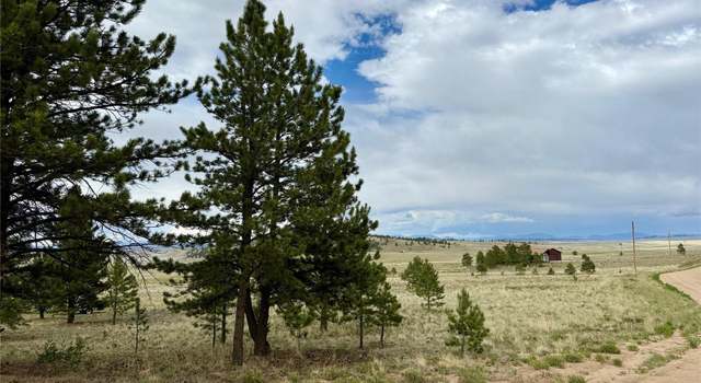 Photo of 311 Harness Way, Hartsel, CO 80449