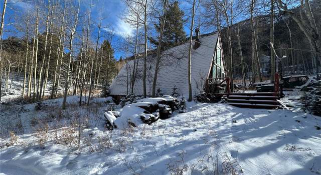 Photo of 1060 Paul St, Silver Plume, CO 80476