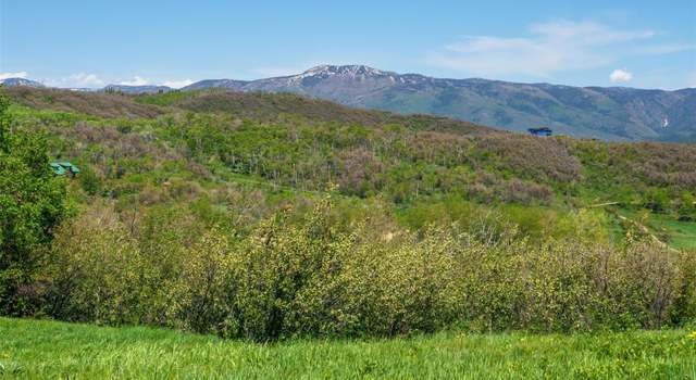 Photo of 27865 Whitewood Dr, Steamboat Springs, CO 80487