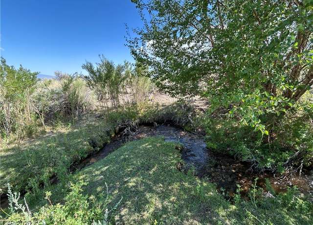 Property at 780 Davis Meadow Trl, Dyer, NV 89010
