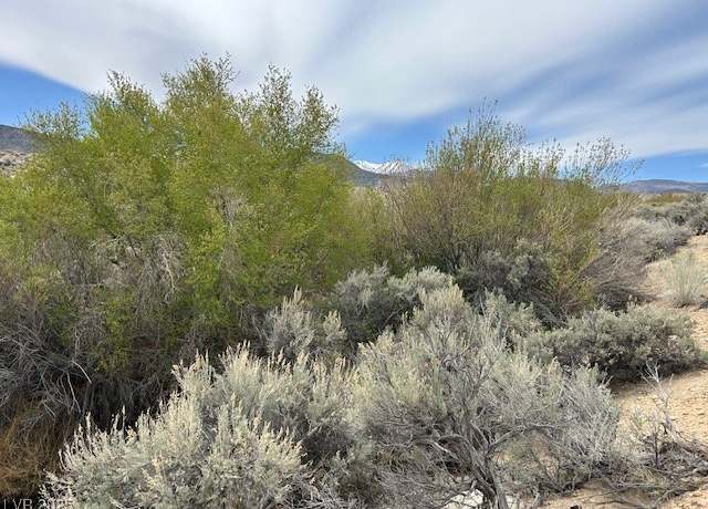 Property at 740 Chiatovich Crk, Dyer, NV 89010