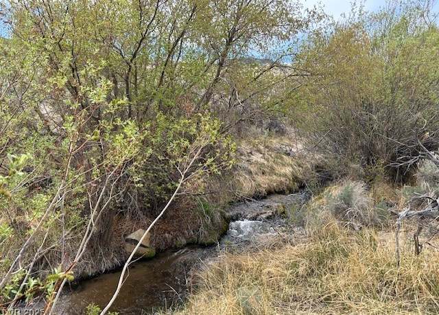 Property at 740 Chiatovich Creek Rd, Dyer, NV 89010