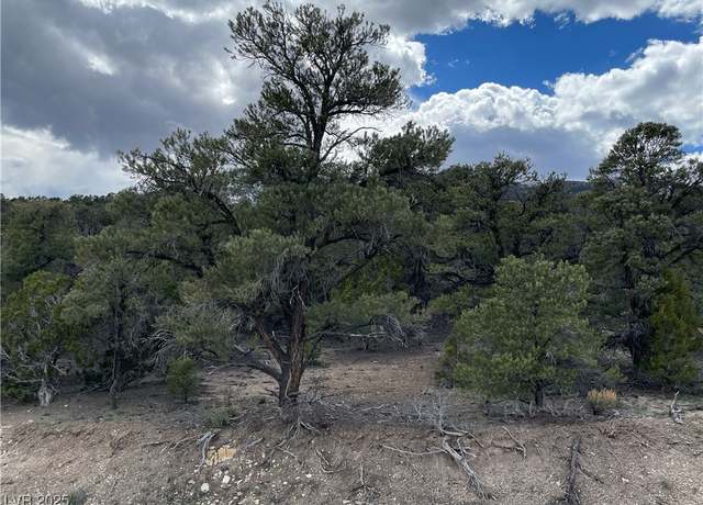 Property at 175 E Ward Mountain Dr, Ely, NV 89301