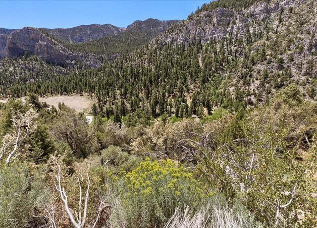 Property at 335 Crestview Dr, Mount Charleston, NV 89124