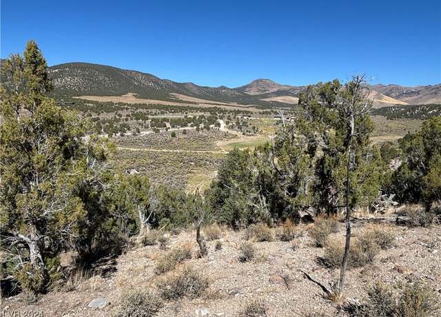 Property at East Crk, Mcgill, NV 89301