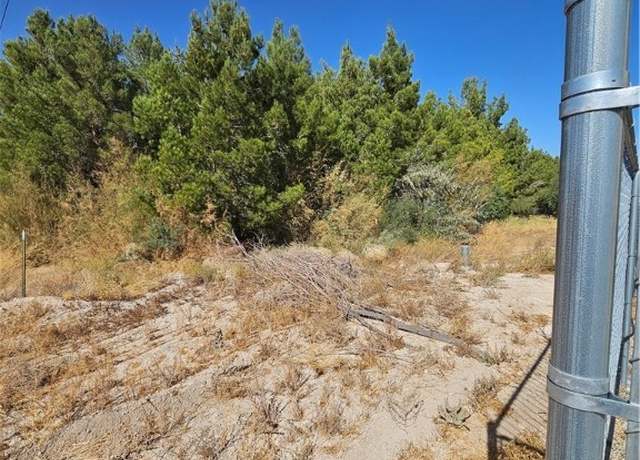 Property at 3091 E Zolin Ave, Pahrump, NV 89048
