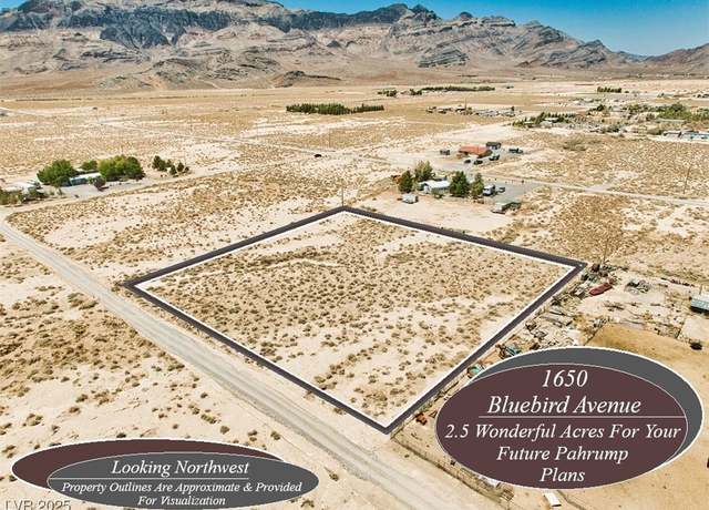 Property at 1650 W Bluebird Ave, Pahrump, NV 89060
