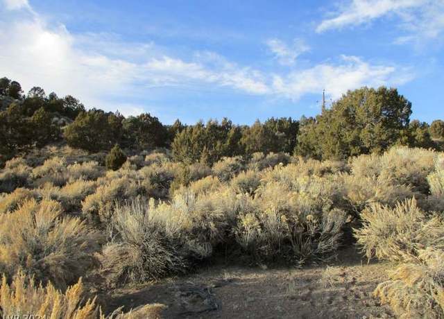 Property at Nevada Hwy 322 (9.86 Ac), Pioche, NV 89043