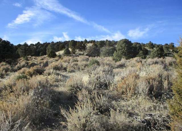 Property at Nevada Hwy 322 (10.012 Ac), Pioche, NV 89043
