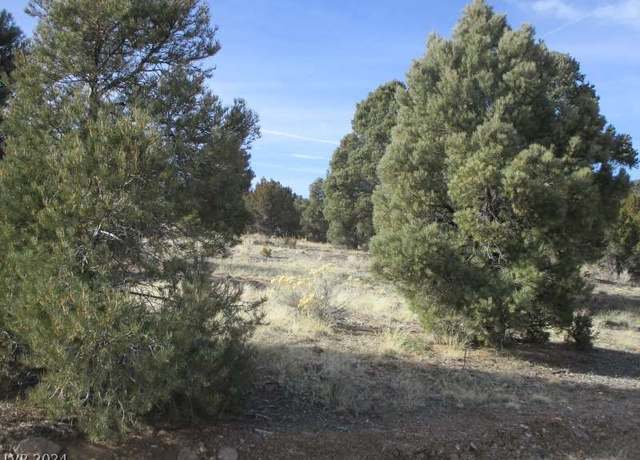 Property at Nevada Hwy 322 (13.753 Ac), Pioche, NV 89043