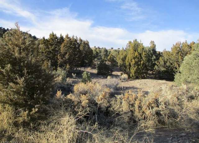 Property at Nevada Hwy 322 (30.15 Ac), Pioche, NV 89043