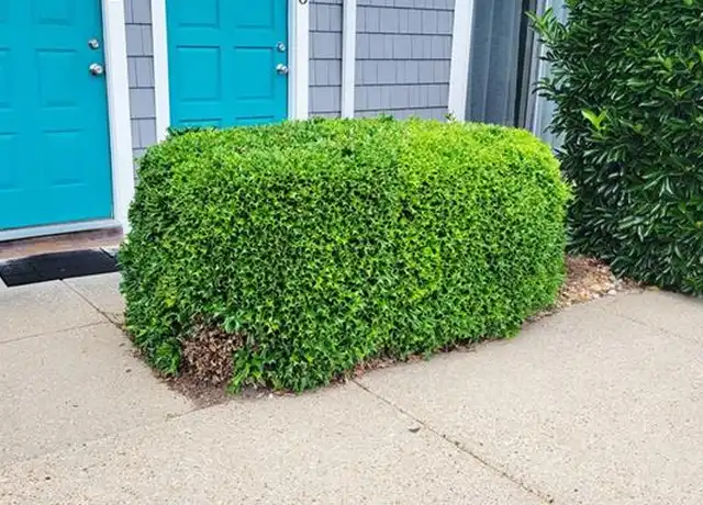Property at 1150 Indian Rd, Virginia Beach, VA, 23451, 2 beds, 2 baths, [object Object]