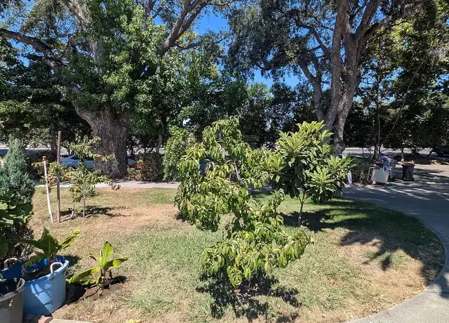 Property at 1968 Hostetter Rd, San Jose, CA, 95131, 5 beds, 2 baths, [object Object]