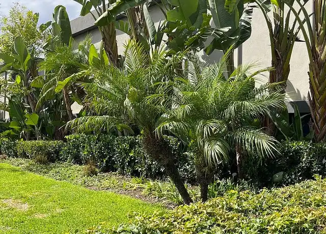 Property at Olivewood Apartments - 9195 Cerritos Ave, Anaheim, CA, 92804, 1 bed, 1 bath, [object Object]