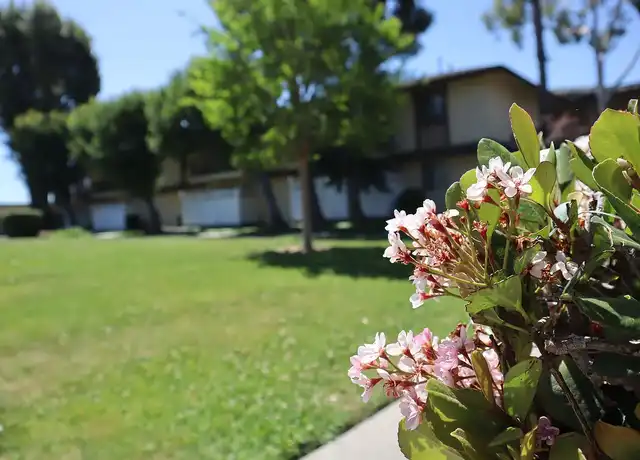 Property at 1330 Sunset Ave, West Covina - 1330 S Sunset Ave, West Covina, CA, 91790, 1 bed, 1 bath, [object Object]