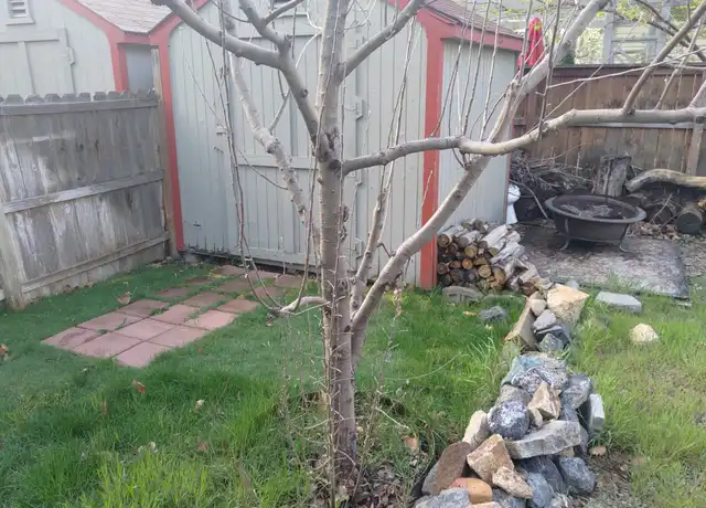 Property at 1303 N 14th St, Boise, ID, 83702, 2 beds, 1 bath, [object Object]
