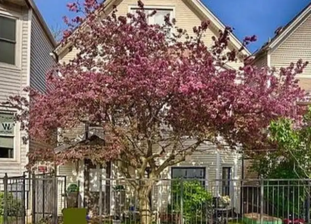 Property at 3745 N Seminary Ave #1, Chicago, IL, 60613, 1 bed, 1 bath, [object Object]