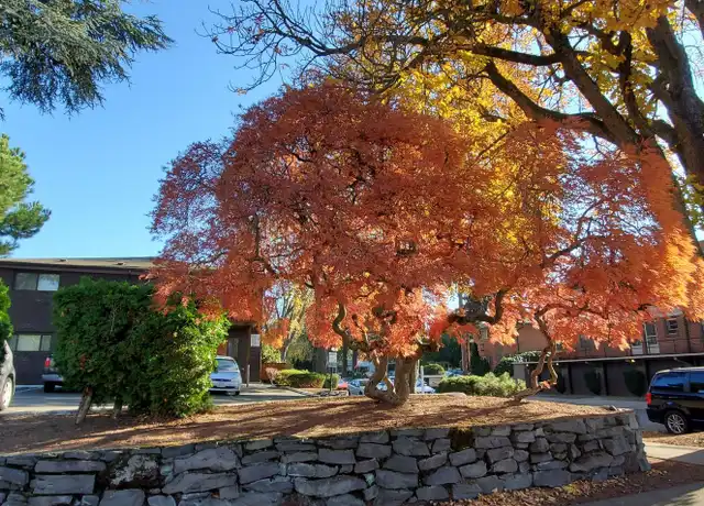 Property at 1735 NE Hancock St Unit 1739, Portland, OR, 97212, 1 bed, 1 bath, [object Object]