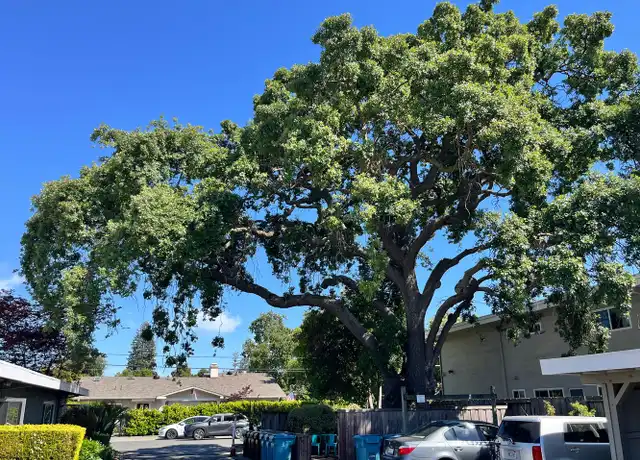 Property at 330 Ventura Ave Unit 7, Palo Alto, CA, 94306, 2 beds, 1 bath, [object Object]