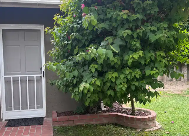 Property at 8317 Kenyon Ave, Los Angeles, CA, 90045, 1 bed, 1 bath, [object Object]