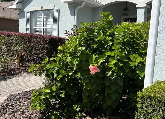 Property at 8701 SW 83rd Cir, Ocala, FL, 34481, 3 beds, 2 baths, [object Object]
