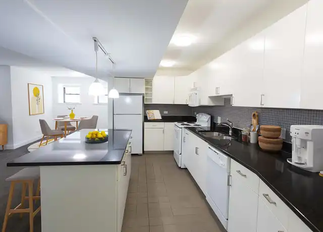 Property at 5229 S. Drexel Avenue - 5229 S Drexel Ave, Chicago, IL, 60615, 2-3 beds, 1-2 bath, [object Object]