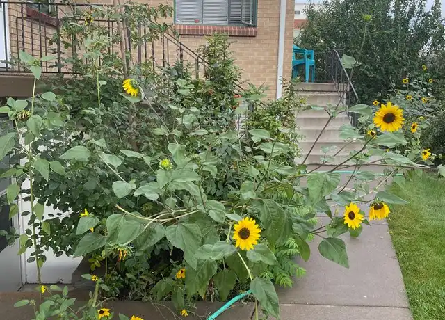 Property at 2324 S Race St Unit 2326, Denver, CO, 80210, 1 bed, 1 bath, [object Object]