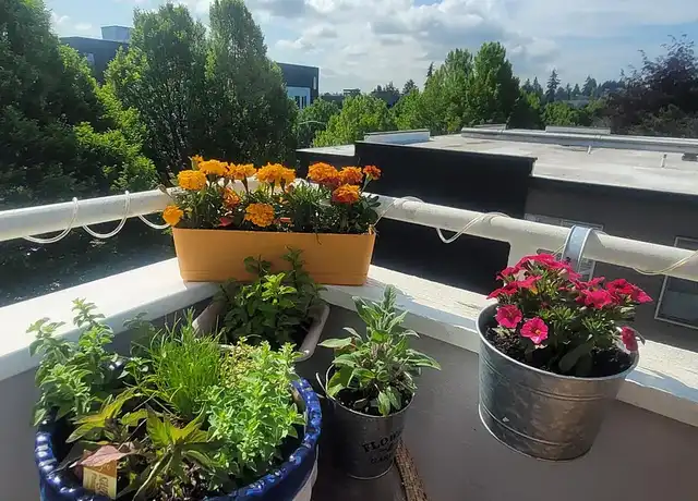 Property at Barton Court - 9021 35th Ave SW, Seattle, WA, 98126, 2 beds, 1 bath, [object Object]