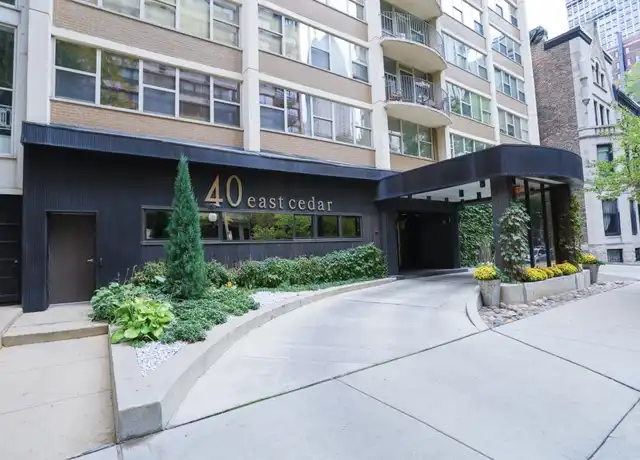 Property at 40 E Cedar St, Chicago, IL, 60611, 2 beds, 2 baths, [object Object]