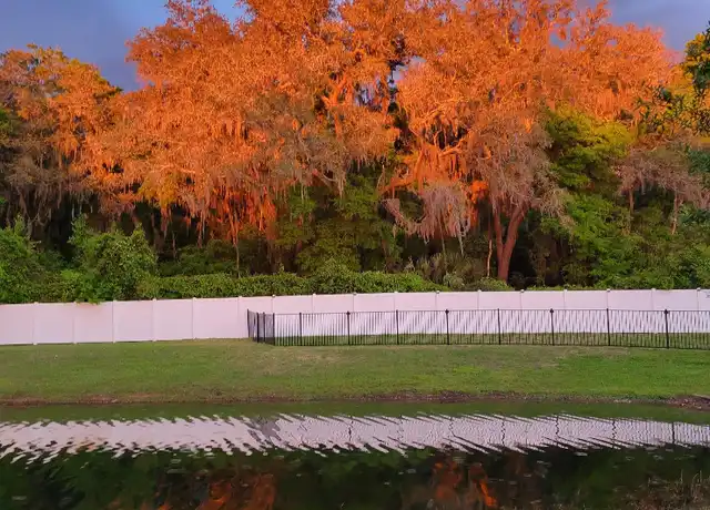 Property at 11655 Golden Lake Ln, Jacksonville, FL, 32256, 1 bed, 1 bath, [object Object]