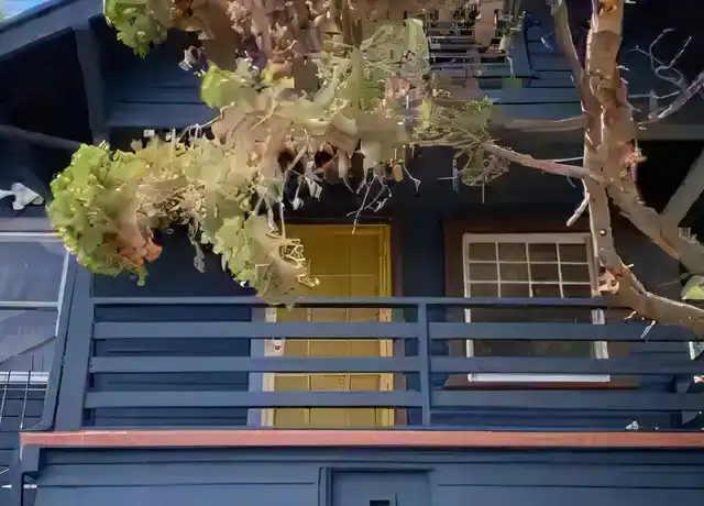 Property at 6173 Oak Crest Way, Los Angeles, CA, 90042, 1 bed, 1 bath, [object Object]