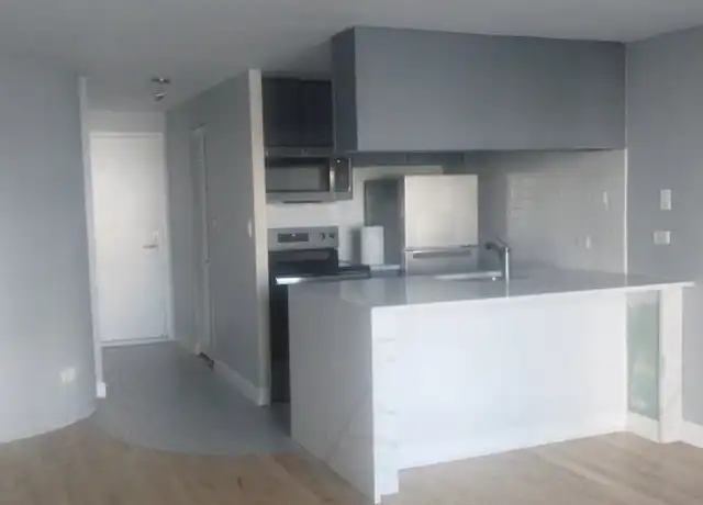 Property at 1221 N Dearborn St Unit 801S, Chicago, IL, 60610, 1 bed, 1 bath, [object Object]