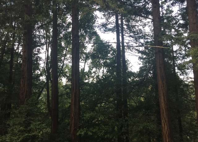 Photo of 251 Marion Ave, Mill Valley, CA 94941