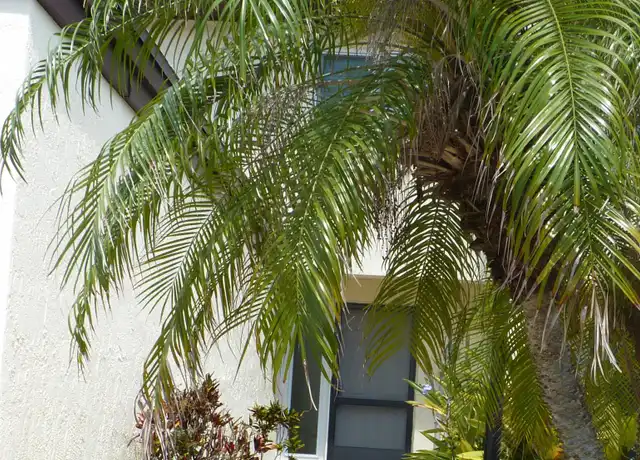 Property at 8718 Bay Ct, Cape Canaveral, FL, 32920, 3 beds, 2.5 baths, [object Object]
