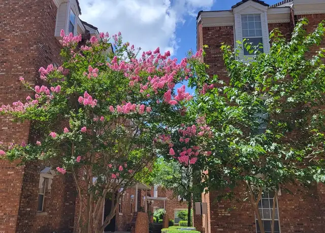 Property at 400 Nagle St #600, College Station, TX, 77840, 1 bed, 1 bath, [object Object]