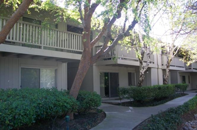 vista del lago apartments for rent