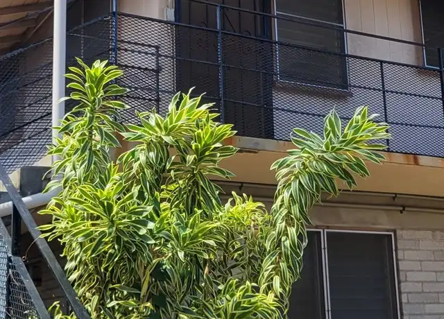 Property at 3133 Brokaw St Unit B, Honolulu, HI, 96815, 1 bed, 1 bath, [object Object]
