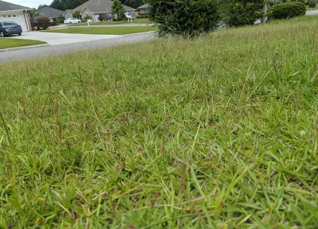 Property at 4965 Yacht Harbor Dr, Pensacola, FL, 32514, 2 beds, 1 bath, [object Object]