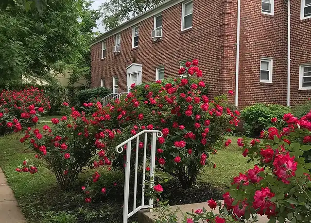 Property at Highland Park Gardens - 311 Benner St, Highland Park, NJ, 08904, 2 beds, 1 bath, [object Object]