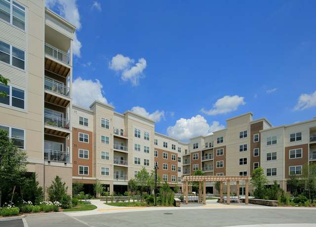 Arlington Apartments For Rent Near Metro