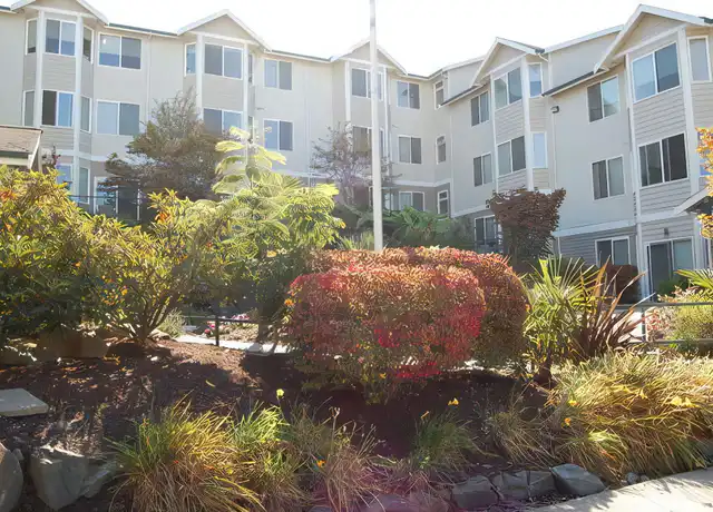 Property at 2909 S Delin St Unit A208, Tacoma, WA, 98402, 1 bed, 1 bath, [object Object]