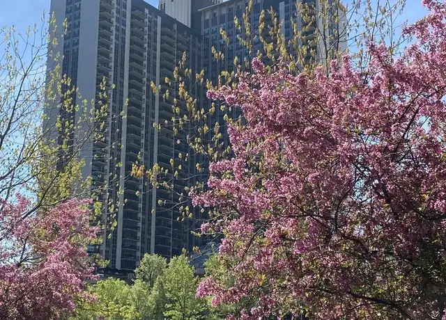 Property at 400 E Randolph St #3726, Chicago, IL, 60601, 1 bed, 1 bath, [object Object]