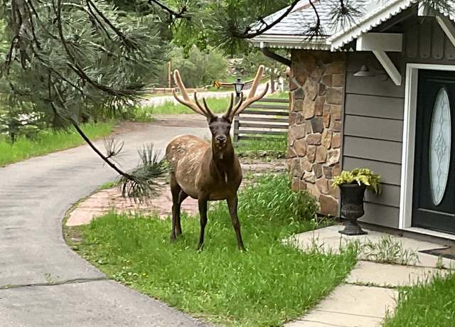Photo of 32114 Upper Bear Creek Rd, Evergreen, CO 80439
