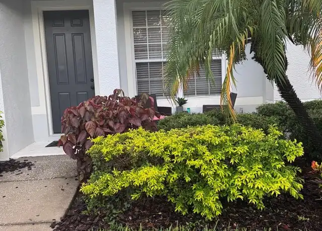 Property at 11517 Declaration Dr, Tampa, FL, 33635, 2 beds, 2.5 baths, [object Object]