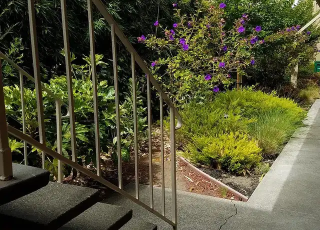Property at 5445 Vicente Way, Oakland, CA, 94609, 1 bed, 1 bath, [object Object]
